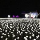 장미커피숍 - 화성시 31만세로 1109-6 | 장미커피숍