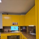 황금나무 이미지