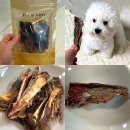 펫잇보리 이미지