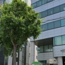 지엔스크린 이미지