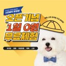 옐레드 시흥은계호수점 이미지