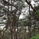 고양누리길 8코스 경의로누리길 이미지