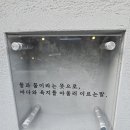 물;뭍 이미지