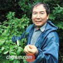 성화농장 이미지