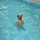 실내수영장 이미지