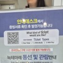 위드곰 | 여수 여행 녹테마레+위드플레이 종합권 후기