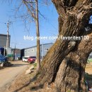 삼육사로13 이미지