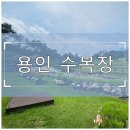 경기도 수목장 알아보다가 용인으로 결정한 이유