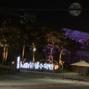 장안화원 | [수원]‘일월수목원’ 야간방문 후기 11.1까지