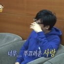 은평애견 이미지