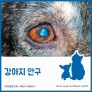 유주메디칼 이미지