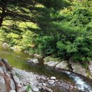 야영장민박 이미지