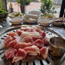 섬돼지 이미지