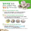 초록마늘 이미지