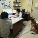 의료법인 인천의료재단 이미지