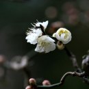백정국 이미지