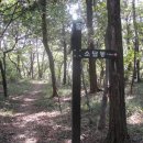 낙동강변로1-2 이미지