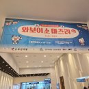 수아세상 | 부산 일본문화축제 "와보이소 마츠리"│부산항국제여객터미널 아이와 가볼만한 곳 솔직후기