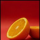 오렌지 이미지