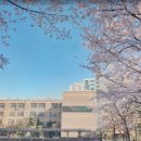 서울초당초등학교 이미지