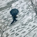 대구가창초등학교 이미지