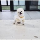 다정멀티샵 이미지