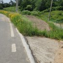 차리농장 이미지