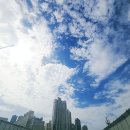 시너지사업하는 진희쌤의 하루