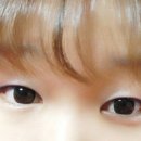 퍼플네이쳐 이미지