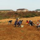 화순군청(환경과) 네이버블로그