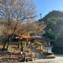 호랭이카 이미지