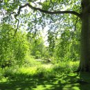 런던파크 이미지