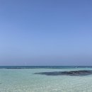 세모커피 이미지