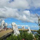 윤식당 앤 윤카페 이미지