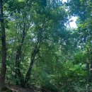 FNF(family and friend) TOUR | 서울 둘레길 1~10코스 후기/Seoul Trail: Courses 1-10 Review