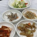 서핑의 계절! 프립에서 할인받고 당일치기 강릉 여행 후기(브라보서프, 안목항물회, 륀에이치)