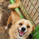 군북119안전센터 이미지