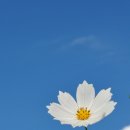 하이미즈한의원 이미지