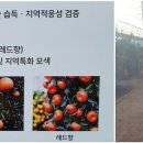 진해기술지원과(진해농업기술센터) 이미지