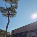 라이브노래연습장 | [김포/석포리 카페] 라이브 음악과 함께하는 대형카페 몬떼델피노 내돈내산 후기 (주차, 외부음식, 주말)