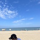 교촌치킨장전 이미지