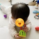 도그보니타 | [육아] 에코폼 퍼즐 맘편한매트_유아매트,놀이방매트를 고민하다!