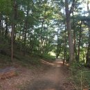 우면산3-20 이미지