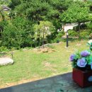 해피트리펜션 이미지