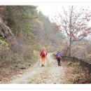 산내면장금보건진료소 이미지