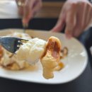 포애뜰카페 | [포천 카페] 포애뜰카페 내돈내산 방문 후기 _ 애견동반 가능 카페 추천!