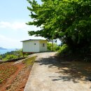 다숲민박 이미지