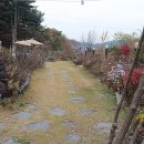 들뫼민박 이미지