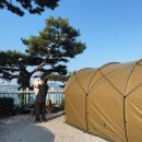 [애견 동반 캠핑장 리스트]경기도, 충청도, 강원도, 인천 강화도