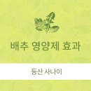 명품농자재마트 | 배추 영양제 효과, 올바른 사용법과 시기, 가격 정보